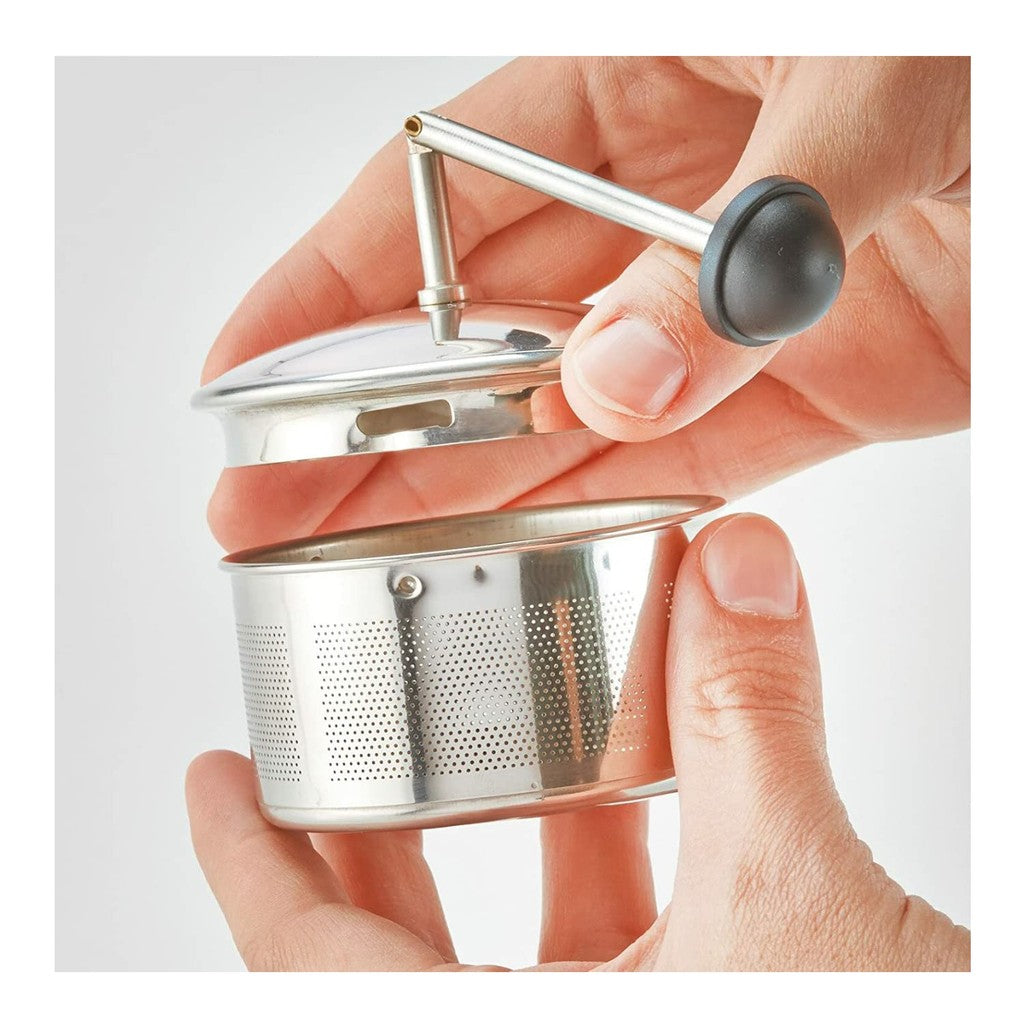 HARIO Tea King Silver for 2 People - Gift, Present CHAN-2SV Multi