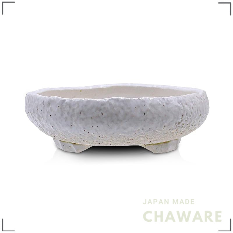 Umekichi Bonsai Supplies Iron Bonsai Pot, Yokkaichi Banko Ware, Ei Kiln, White, 4in/12cm