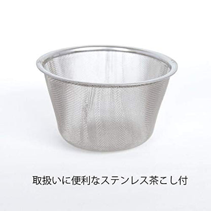 Hamato Hasami Ware Lightweight Teapot 300ml White Hand-Painted Sakura with Super Mesh Tea Strainer Made in Japan