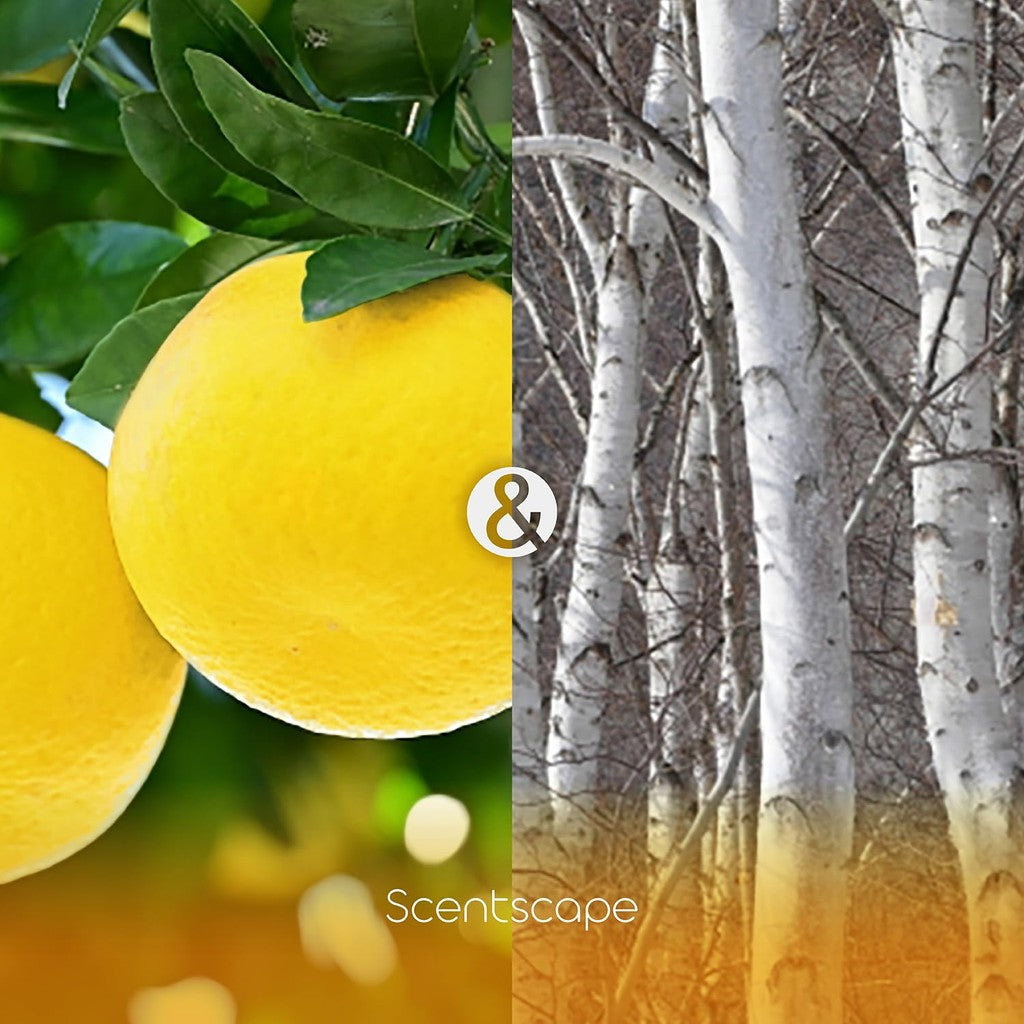 Scentscape Grapefruit & White Wood - 30 sticks