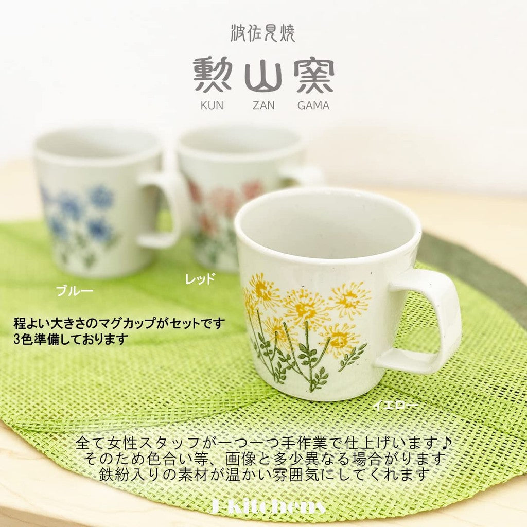 J-kitchens Kunzan Kiln Teapot and Mug Set Microwave Safe Hasami Ware Made in Japan (Teapot 240ml, Mug 270ml, Tea Accessories) with Tea Strainer, Wildflower Red