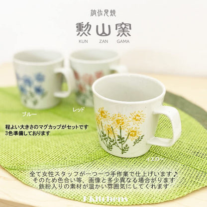 J-kitchens Kunzan Kiln Teapot and Mug Set Microwave Safe Hasami Ware Made in Japan (Teapot 240ml, Mug 270ml, Tea Accessories) with Tea Strainer, Wildflower Red