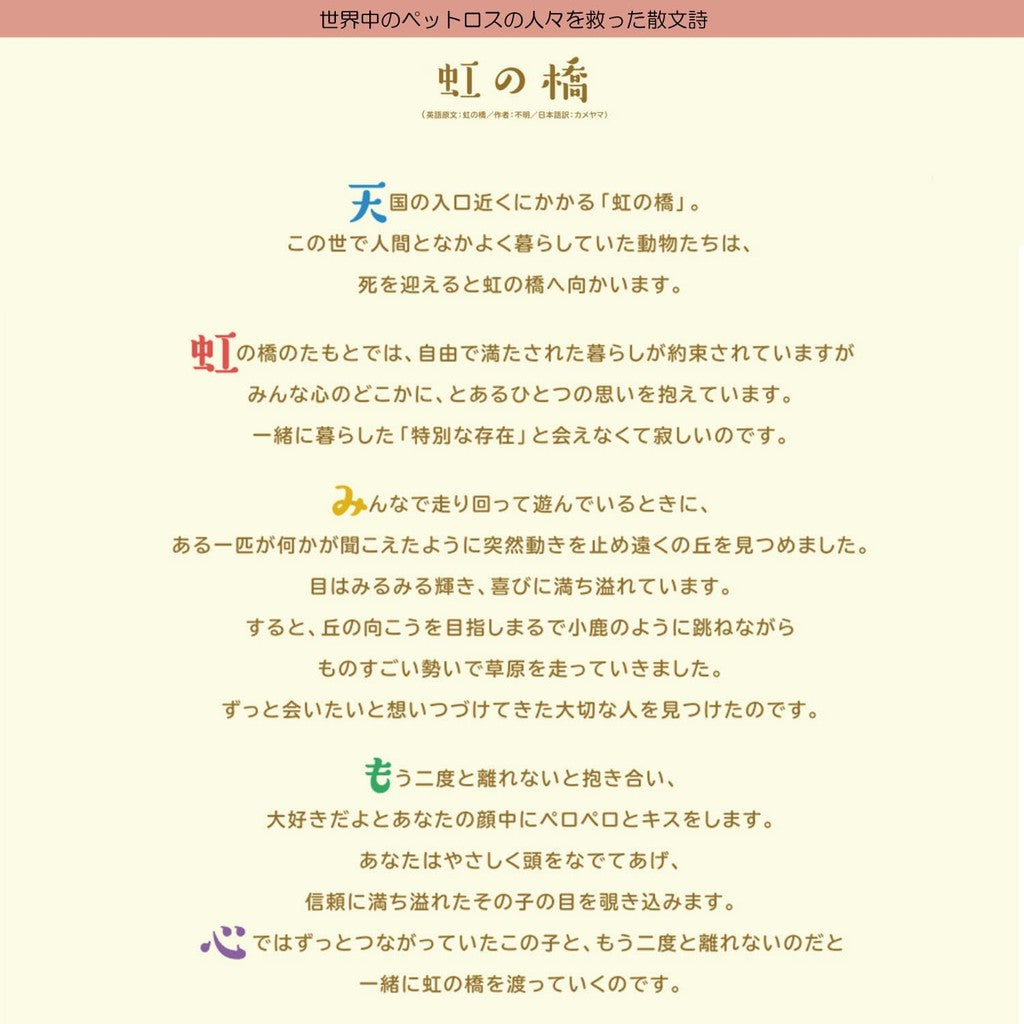 Kameyama Memories of That Day Incense Sticks for Cats, 5 pieces, with a bright floral fragrance, for pet memorials.