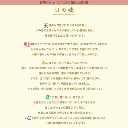 Kameyama Memories of That Day Incense Sticks for Cats, 5 pieces, with a bright floral fragrance, for pet memorials.