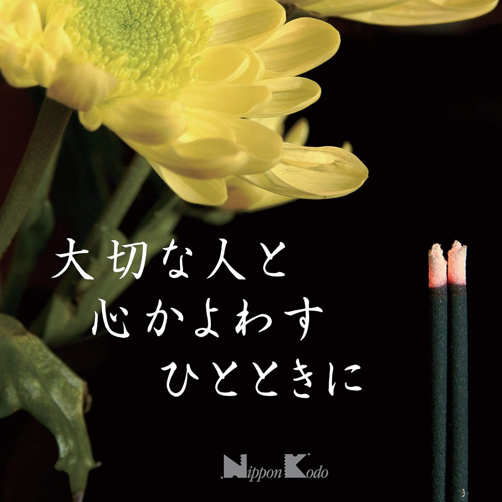 Everyday Incense Large Rose Pack Approximately 240g Stick Incense Nihon Kodo Made in Japan Sandalwood