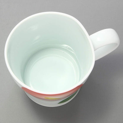 Hamato Hasami Ware Tenryu Kiln Buki Hana Lightweight Mug Red 401688 290ml