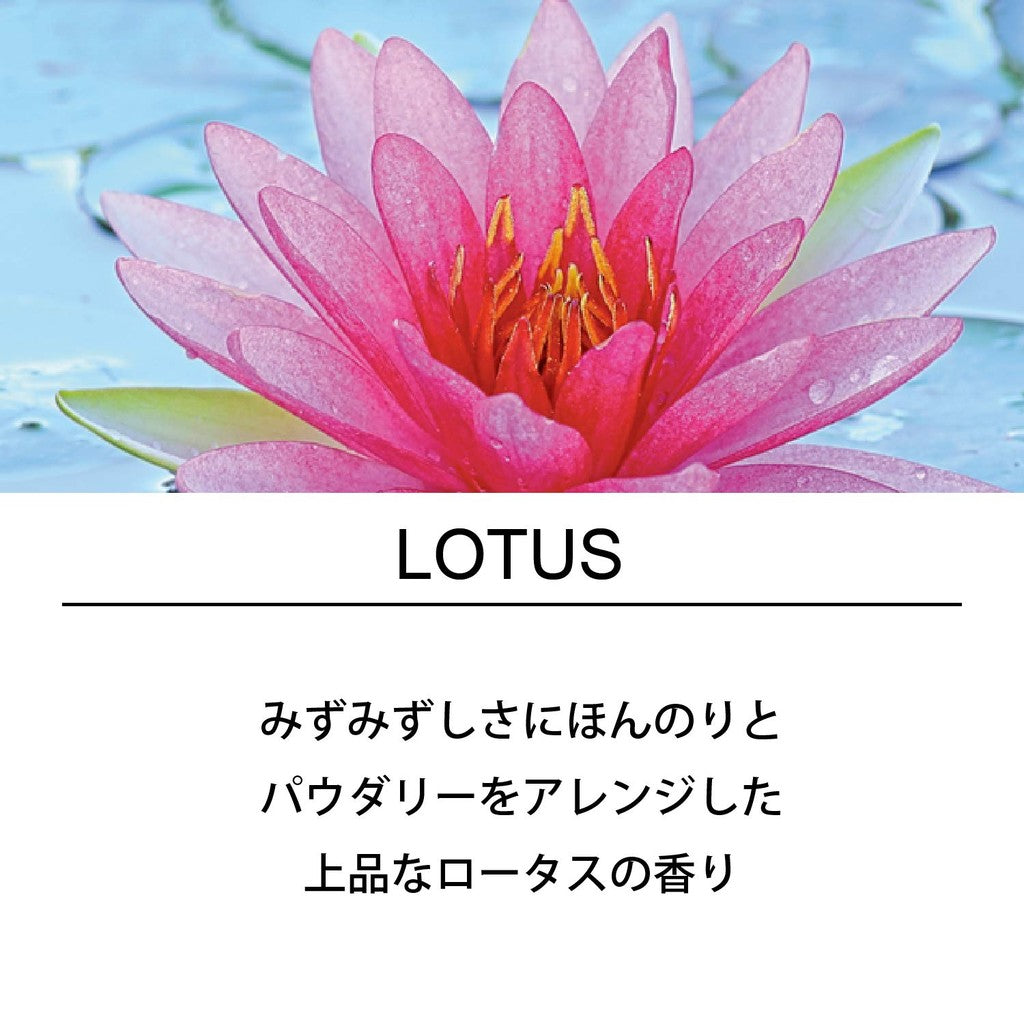 Esteban Esprit de Nature Lotus Stick Incense (40 sticks) with incense holder, made in Japan.