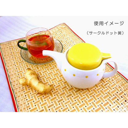 Hasami Porcelain Grater Ginger Pot with Strainer - Green Forest ID-22-03
