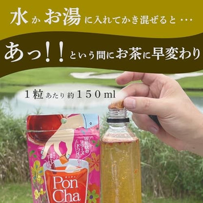 ポンチャハニー紅茶 10個×2パック フリーズドライティー