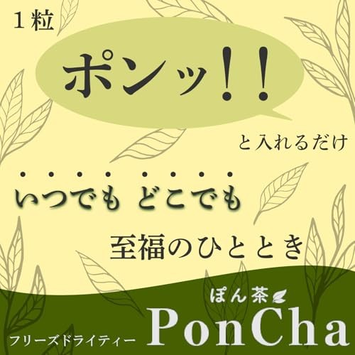 ポンチャハニー紅茶 10個×2パック フリーズドライティー