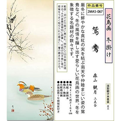 Sanko Co., Ltd. Winter Hanging (Kakejiku) - Mandarin Duck, Mori-yama Kangetsu, Shaku-san (about 3 feet), Small Size, Front Fabric Mounting, Tokonoma (alcove) Flower and Bird Painting, Modern Hanging Scroll, 2MA5-067
