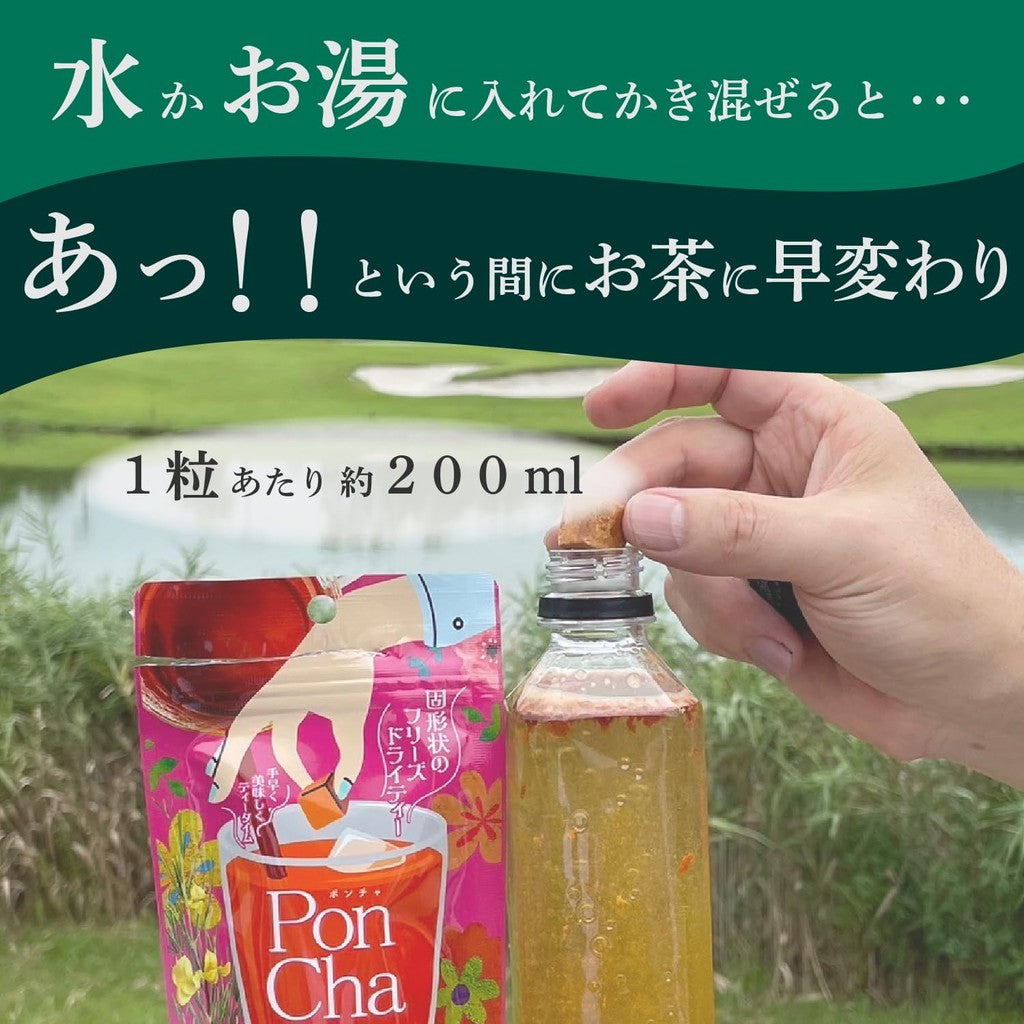 Poncha Matcha Freeze-Dried Instant Tea - 10-Count Box x 2 or 50-Count Bag