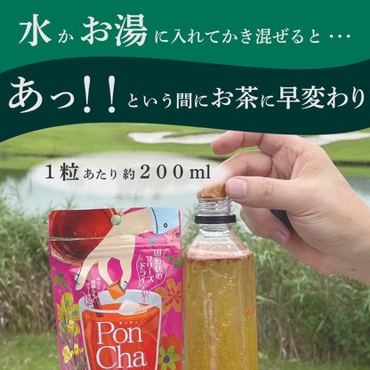 Poncha Matcha Freeze-Dried Instant Tea - 10-Count Box x 2 or 50-Count Bag