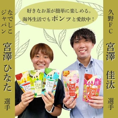 ポンチャハニー紅茶 10個×2パック フリーズドライティー