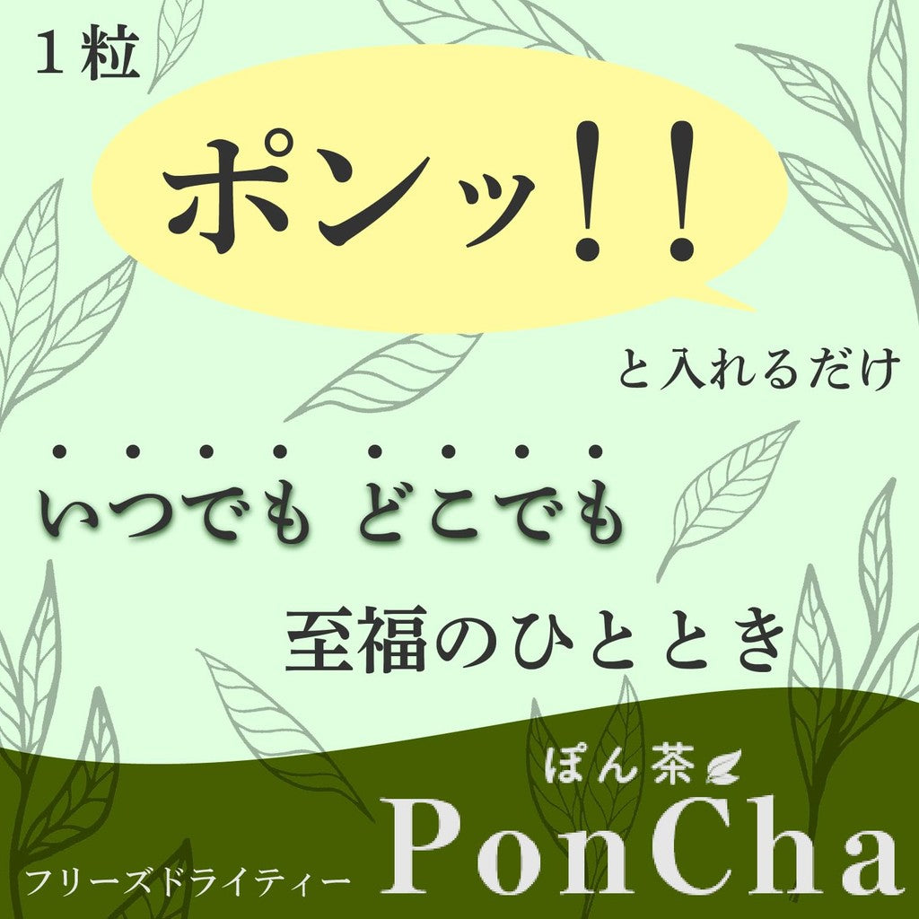 Poncha Matcha Freeze-Dried Instant Tea - 10-Count Box x 2 or 50-Count Bag