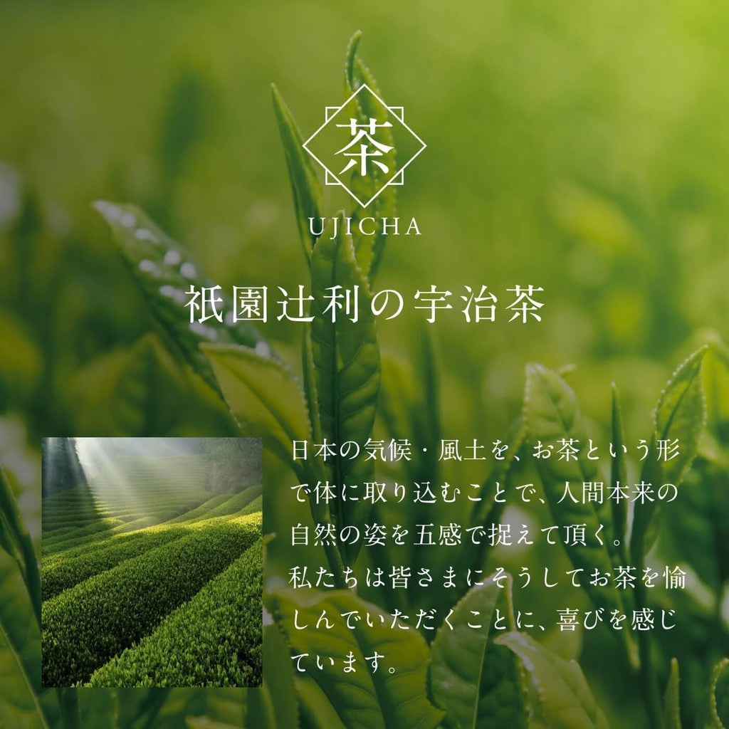 Gion Tsujiri Cold Brew Tea Bags 5g x 30 bags Kyoto Tea Pack Cold Brew Green Tea Gift Souvenir