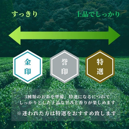 Kirishima Gold Seal Kagoshima Sencha Tea - Japanese Green Tea Delivery (Various Weights Available)