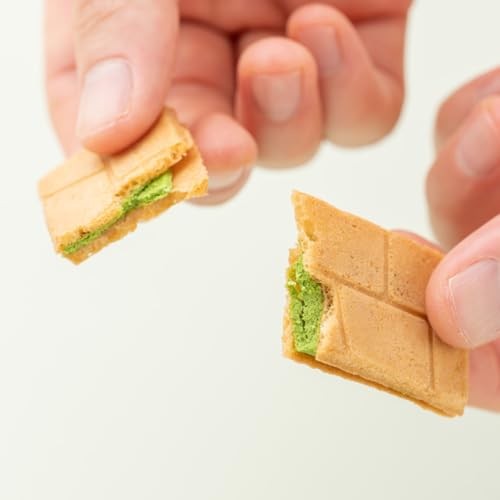 Gion no Koji 18-Piece Gift Set - Kyoto's Finest New Tea, Cold Matcha, Cold Brew, Tsujiri Treats, and Financier Delights