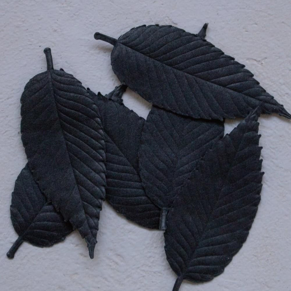 【made in japan】
HAKO Paper Incense - Black Leaf - 6 Sheets - Kunjyudo Japan - Aromatherapy Assortment