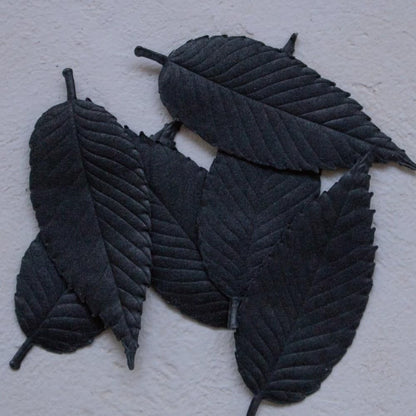 【made in japan】
HAKO Paper Incense - Black Leaf - 6 Sheets - Kunjyudo Japan - Aromatherapy Assortment