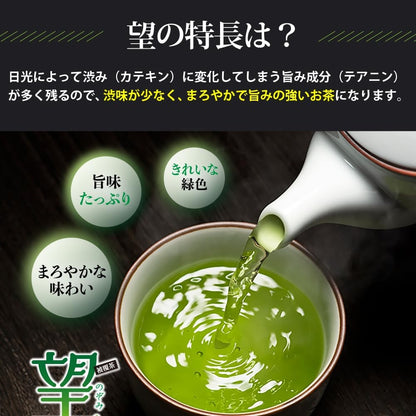 "Arahatakan Earth Poem Premium Deep Steamed Green Tea - 100g Shizuoka Brand"
