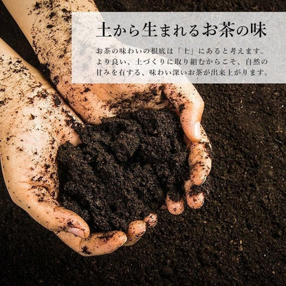 Kirishima Gold Seal Kagoshima Sencha Tea - Japanese Green Tea Delivery (Various Weights Available)