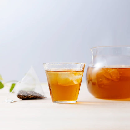 Gion Tsujiri Cold Brew Hojicha Tea Bags 4g × 20 bags Kyoto Tea Pack Gift Souvenir