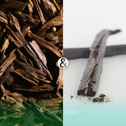 Incense Scentscape Oud & Vanilla, 30 sticks, 38221, Nippon Kodo, Made in Japan.