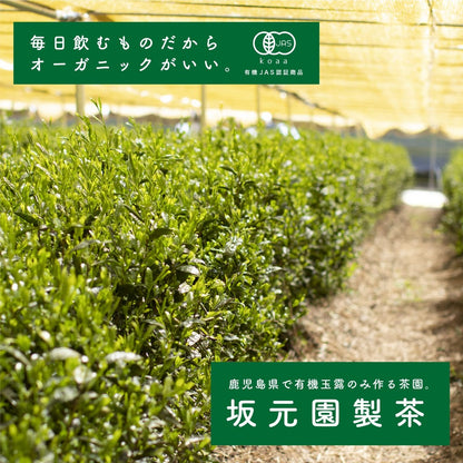 Organic Gyokuro Powdered Tea 70g, Sakamotoen Seicha, Produced in Kagoshima Prefecture, Shizen no Oka Shop