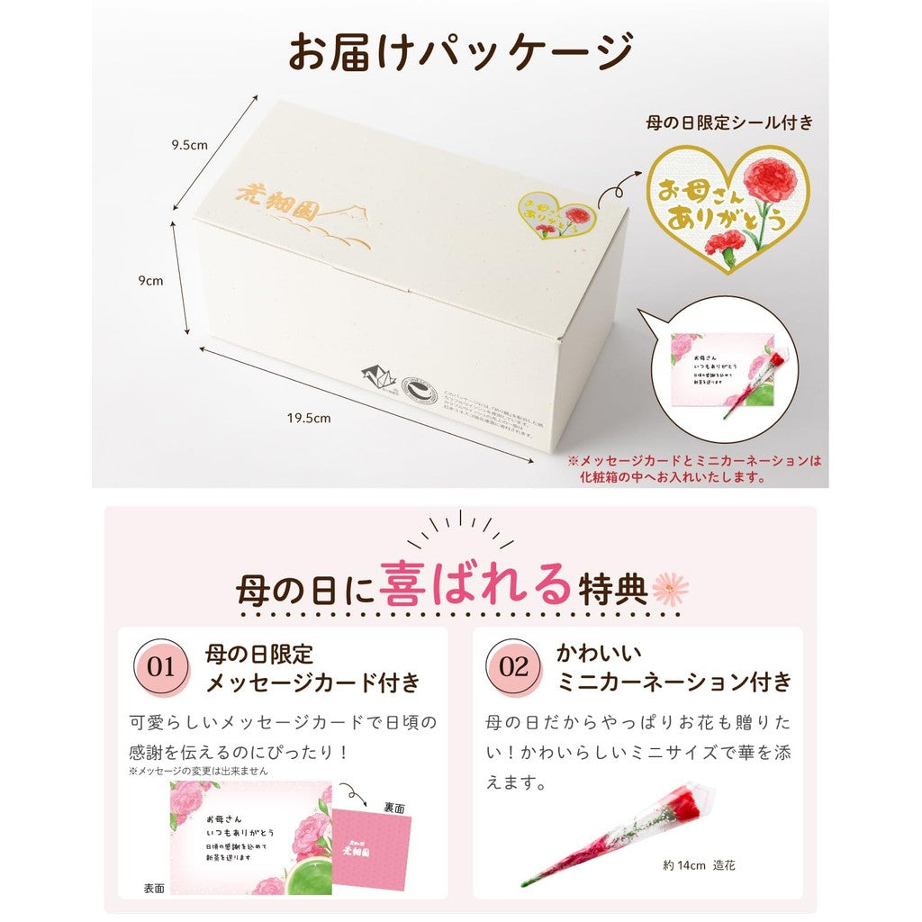 Arahataen Daichi no Uta Flower Pattern Tea Can Gift Set (2 x 80g) - Green Tea, Shizuoka Tea, Mukonosuke Can, Cute Design
