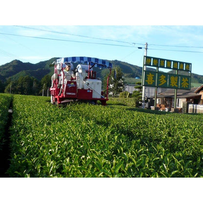Ise Tea Red Black Tea Leaves [Subtle Natural Sweetness] 100g 'Summer Harvest Second Flush' Red Ise Autumn/Winter Delicious Tea Japanese Tea Mie Prefecture Cultivated For Confectionery Use Bulk Packaging