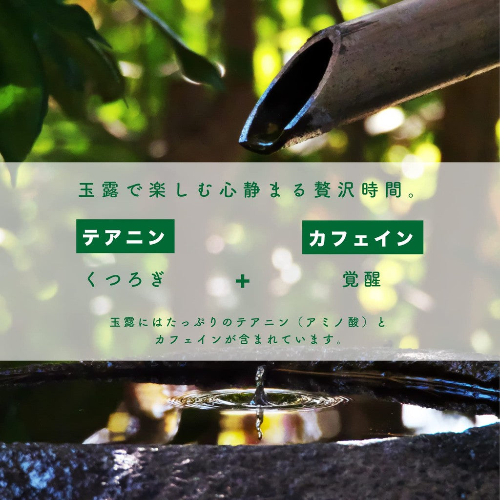 Organic Gyokuro Powdered Tea 70g, Sakamotoen Seicha, Produced in Kagoshima Prefecture, Shizen no Oka Shop