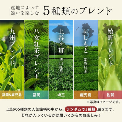 Milk Tea Pairing Black Tea - Japanese Black Tea Premium Milk Tea Collection, 3 packs × 50g (Total 150g)