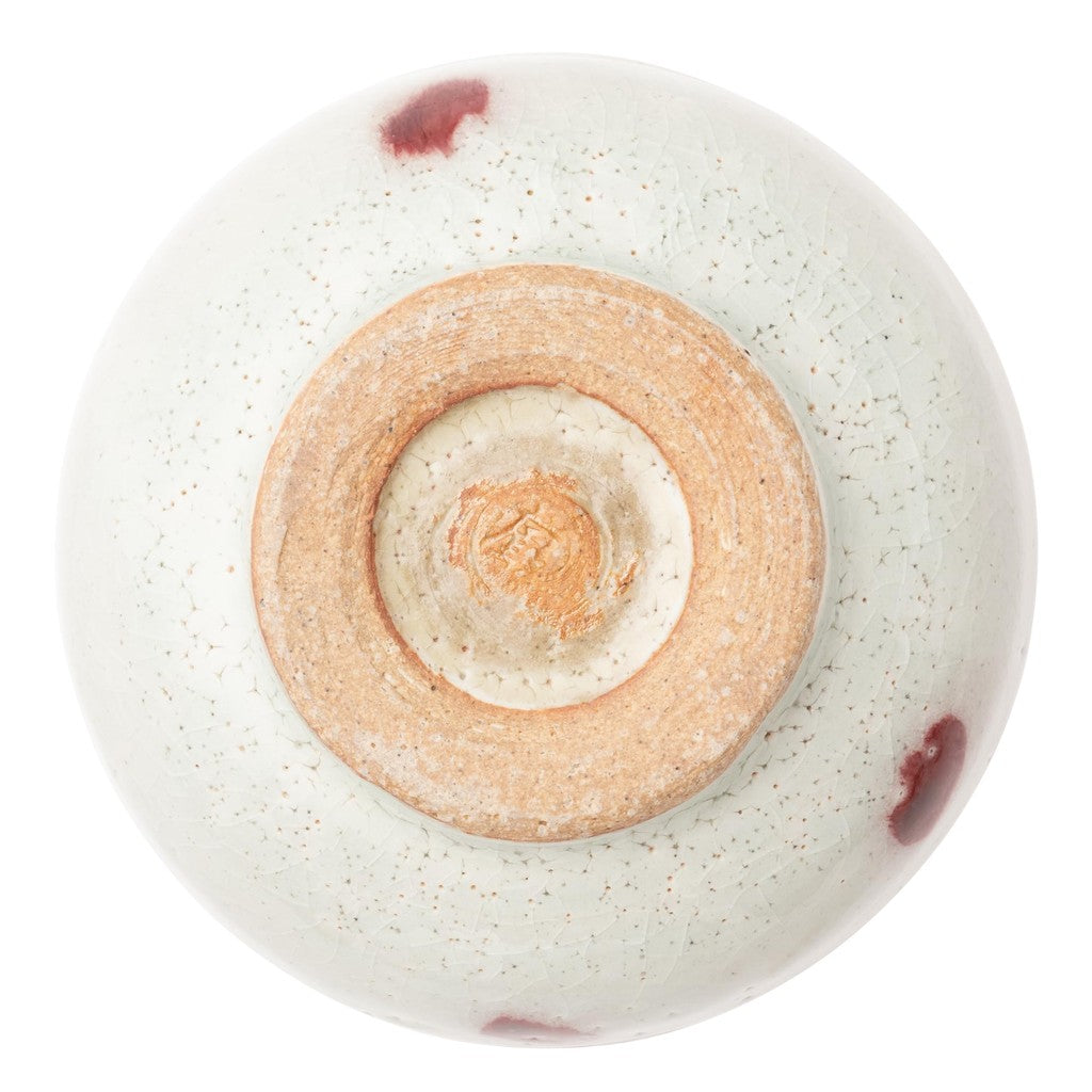 Marui Ceramic Shigaraki Ware Hachimmon Matcha Bowl Diameter approximately 11 cm Cherry Blossom White MR-3-4122