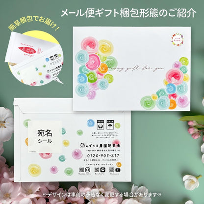 Mizutama Farm Refreshing Japanese Tea - Assorted Tea Bags (2g x 50 packs) - Domestic Quality