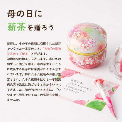 Arahataen Daichi no Uta Flower Pattern Tea Can Gift Set (2 x 80g) - Green Tea, Shizuoka Tea, Mukonosuke Can, Cute Design