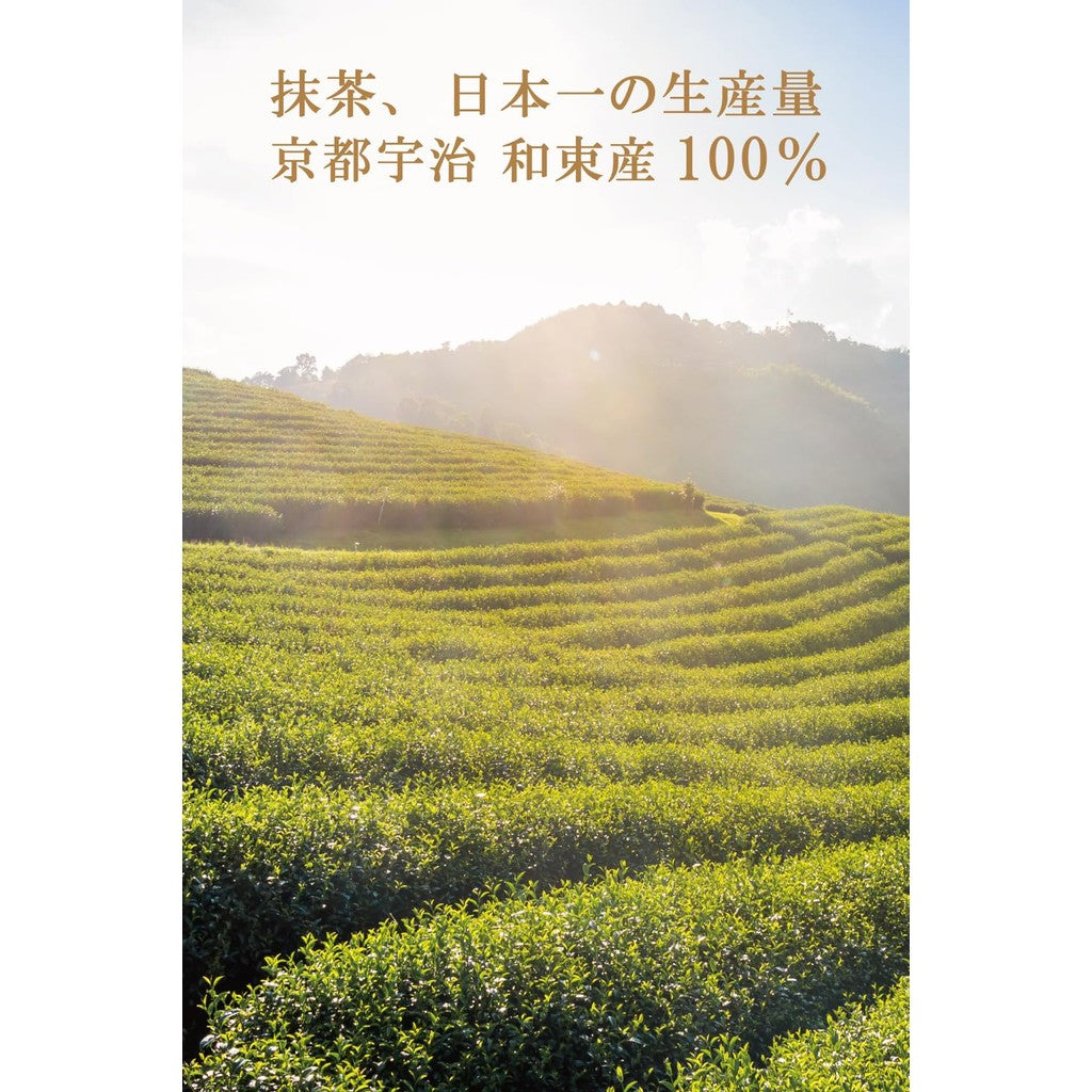 Artisan-Grade Uji Matcha Powder 100g[100% Premium Uji Wazuka Matcha] Completely Additive-Free Matcha Powder 100g
