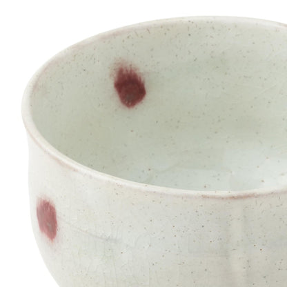 Marui Ceramic Shigaraki Ware Hachimmon Matcha Bowl Diameter approximately 11 cm Cherry Blossom White MR-3-4122