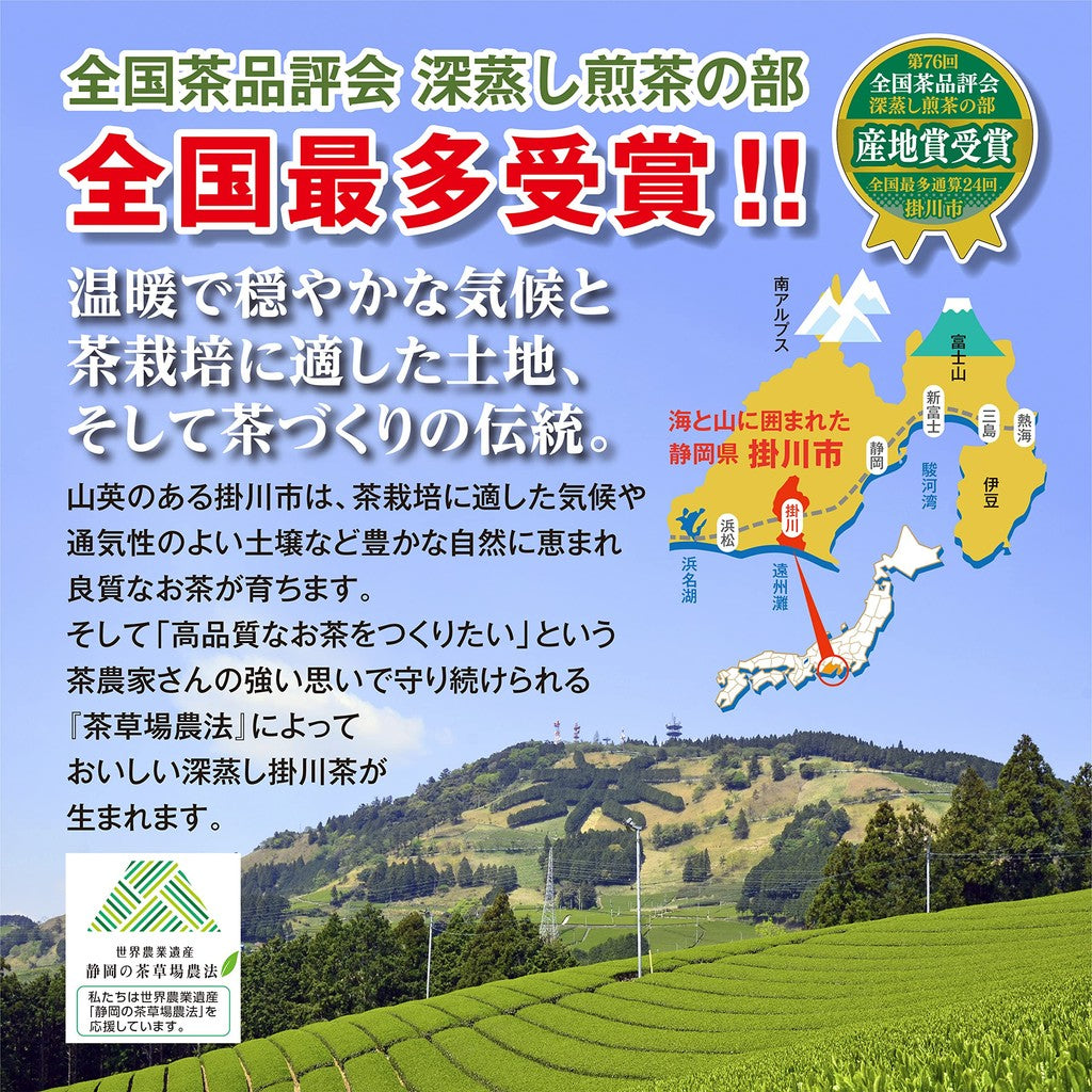 Japanese Black Tea Tea Bags Organic Sugar-Free Shizuoka Produced Kakegawa Produced 2g × 20 Bags Tetra Triangle SanEi