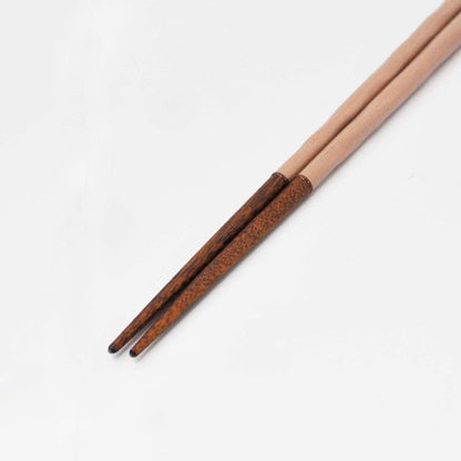 KURABI Premium Japanese Chopsticks and Holder Gift Set - 23cm, Dishwasher Safe, Various Colors, Made in Japan