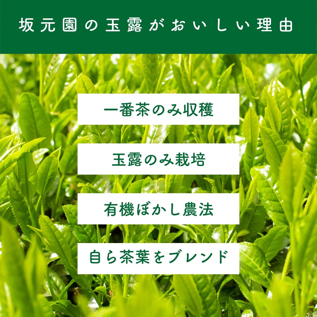 Organic Gyokuro Powdered Tea 70g, Sakamotoen Seicha, Produced in Kagoshima Prefecture, Shizen no Oka Shop