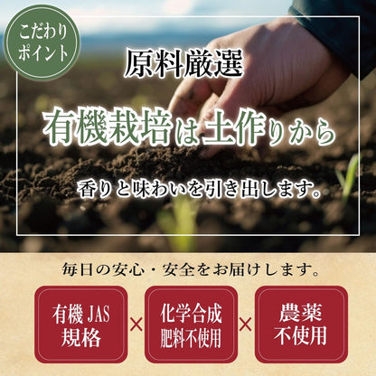 Organic Japanese Black Tea Bags | 3g x 30 Packs | Benifuki | JAS Certified & Additive-Free