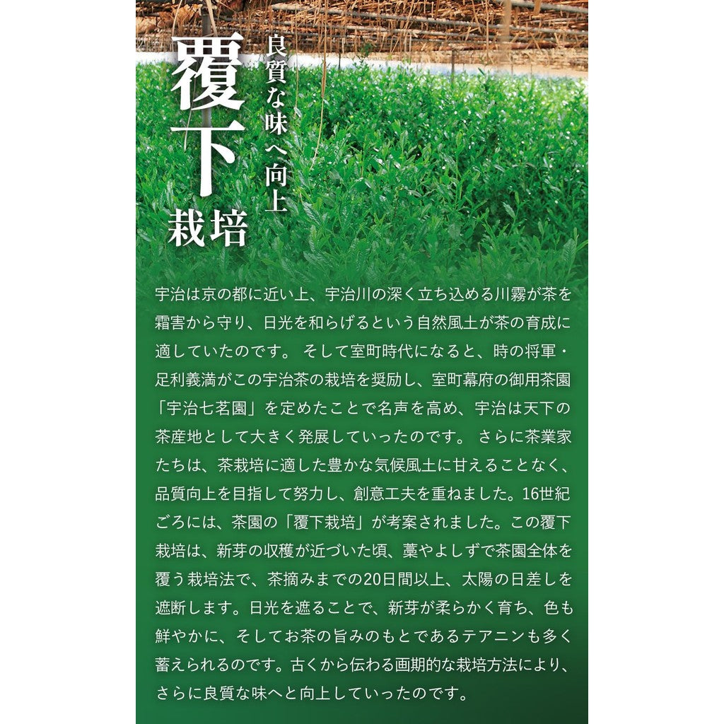 Kyoto Ujitawara Tea Garden Uji Matcha - Kyo no Hana 40g Matcha in a Can 29138