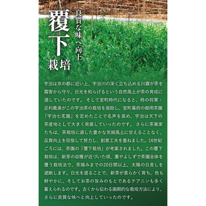 Kyoto Ujitawara Tea Garden Uji Matcha - Kyo no Hana 40g Matcha in a Can 29138