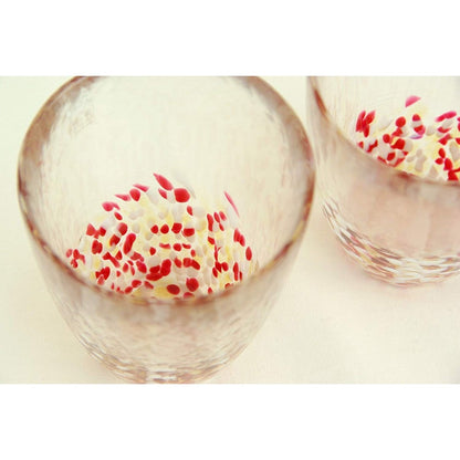 ADERIA Tsugaru Vidro Akaringo Tumbler 300ml Made in Japan, Gift Box Included, Glass
