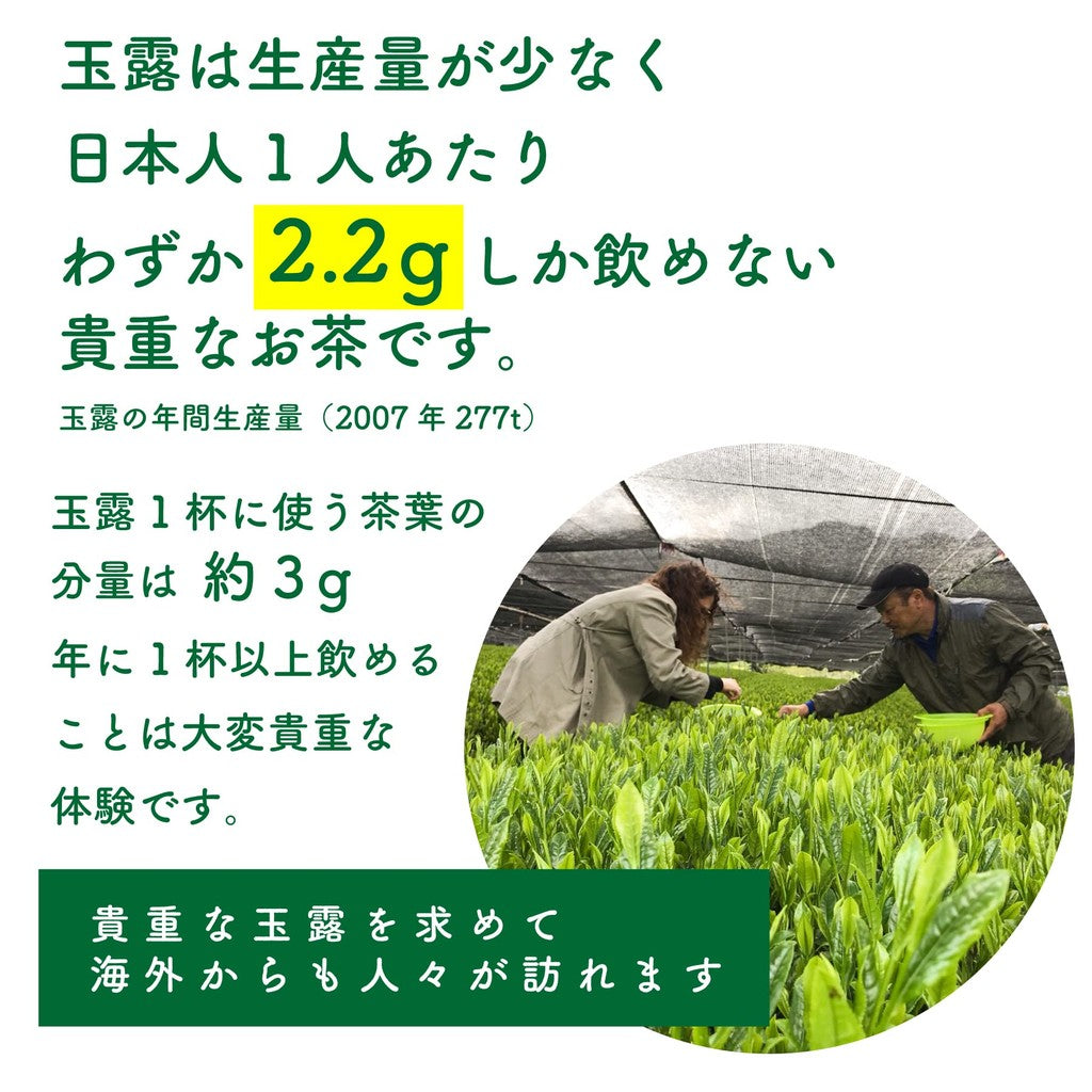 Organic Gyokuro Powdered Tea 70g, Sakamotoen Seicha, Produced in Kagoshima Prefecture, Shizen no Oka Shop