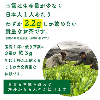 Organic Gyokuro Powdered Tea 70g, Sakamotoen Seicha, Produced in Kagoshima Prefecture, Shizen no Oka Shop