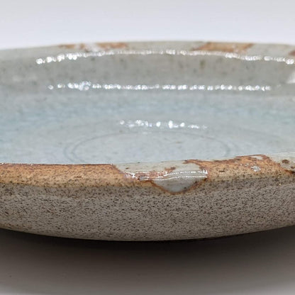 Utsuwa Roan Seto-yaki Shinsen 25cm Curry & Pasta Plate Iga Ash Glaze Gray Made in Japan