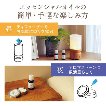 Daily Delight Aroma Stone 1pc & 10ml Lavender Oil - Hakuun Seto-Yaki Ceramic, Japan-made Gift