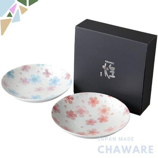 Ale-net "Kira" Mino Ware Porcelain Medium Deep Curry Plate Set of 2 — 21.5×4.8 cm